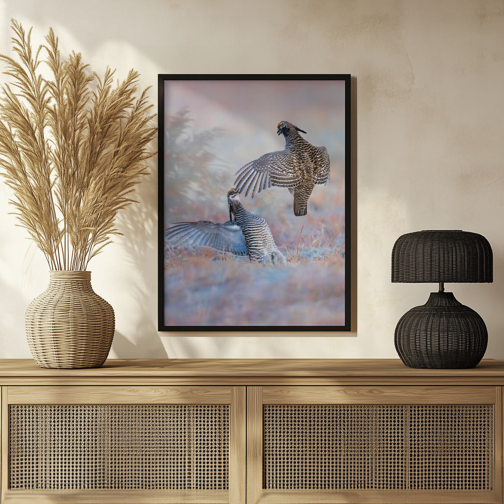 Greater Prairie Chicken-Morning Talking Poster