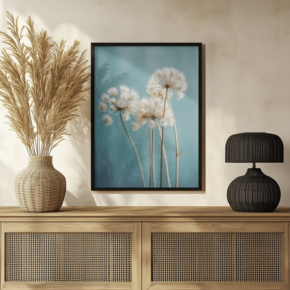 Fluffy Flowers Poster