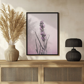 Pastel Lavender Poster