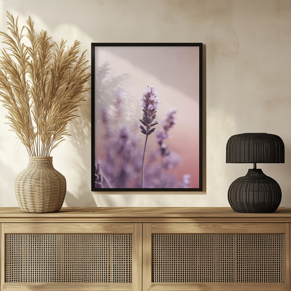 Lavender Detail Poster