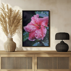 Pink Hibiscus Poster