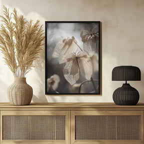 Butterfly Flower Poster