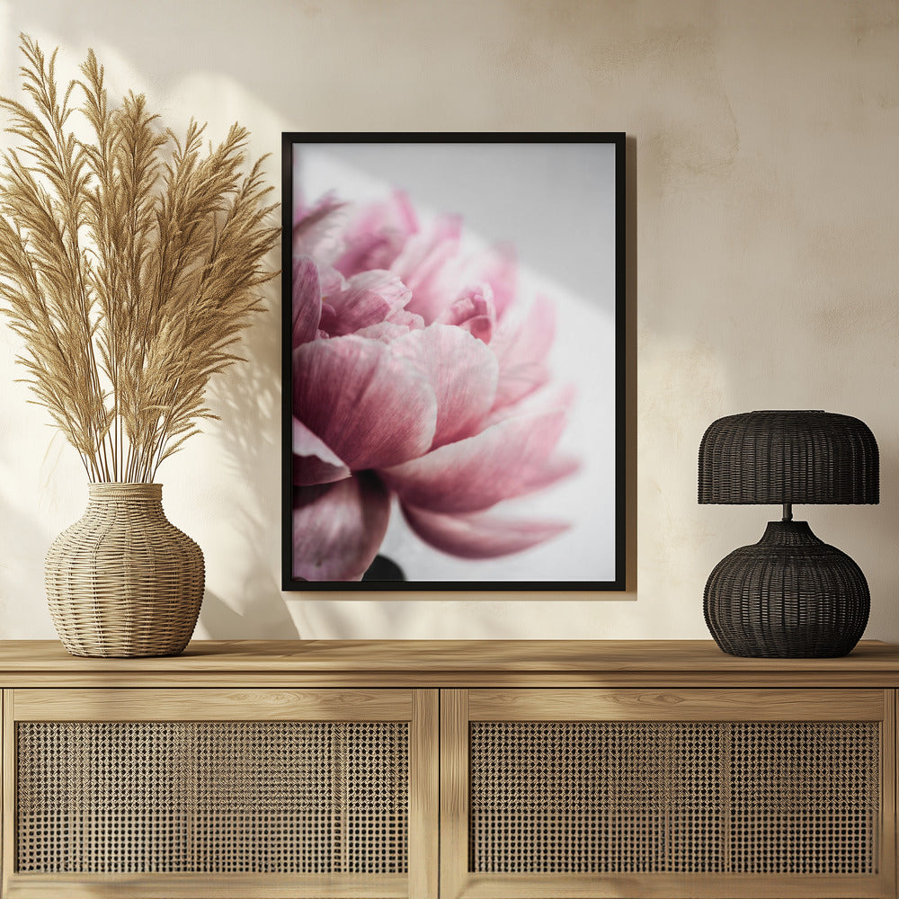 Peony 1 Poster