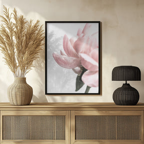 Peony 2 Poster