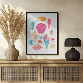 Seashells Poster