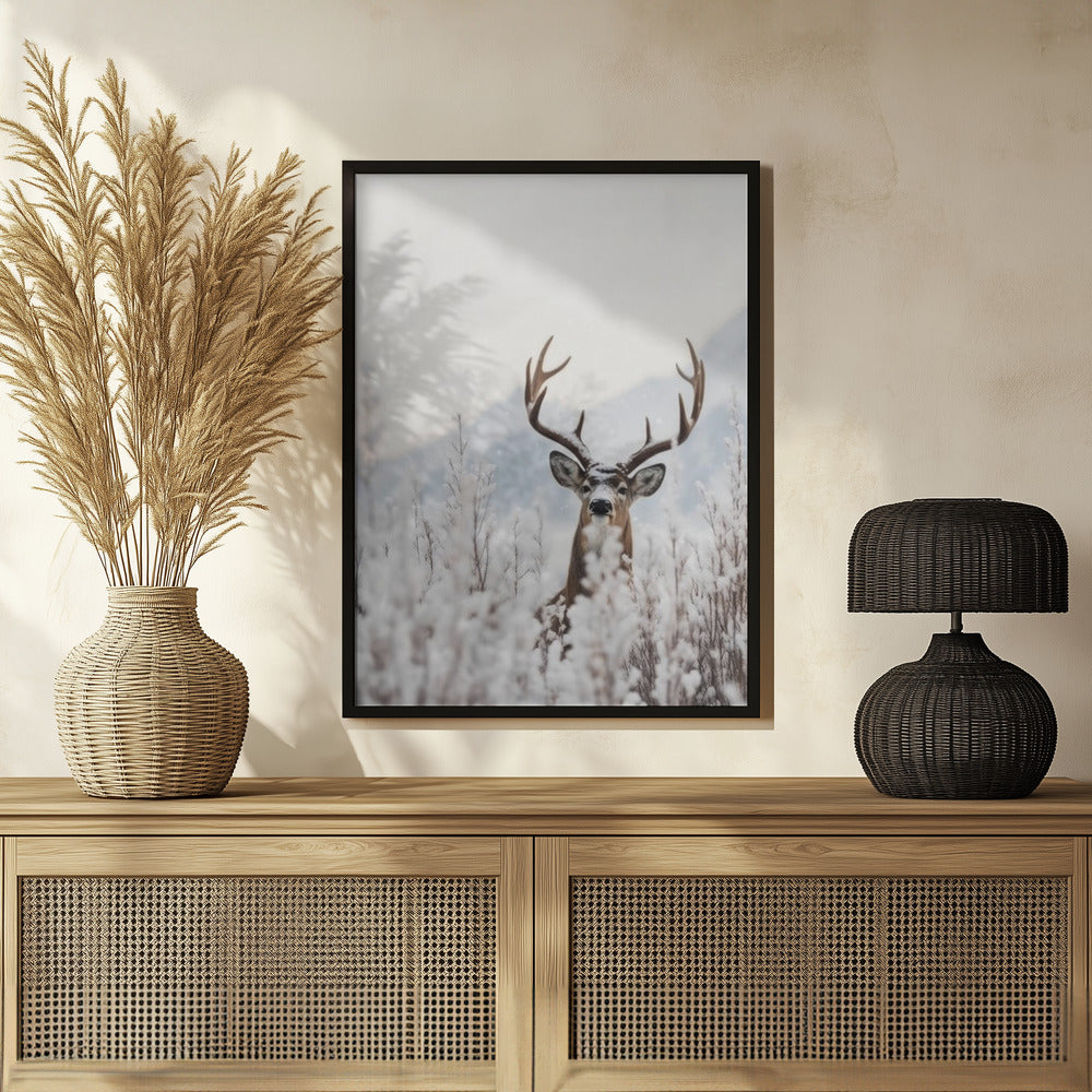 Curious Deer Poster