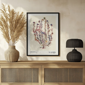 Watercolor print collection. Flower market - Madrid Poster