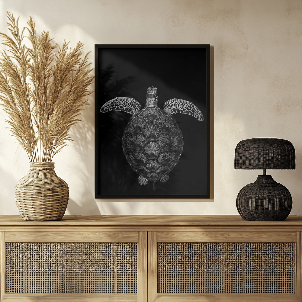 Green turtle on black and white Poster