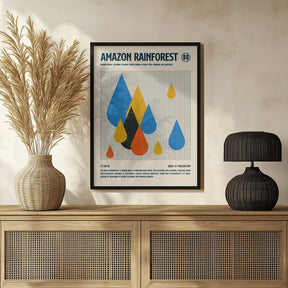 Amazon Rain Forest Poster Poster