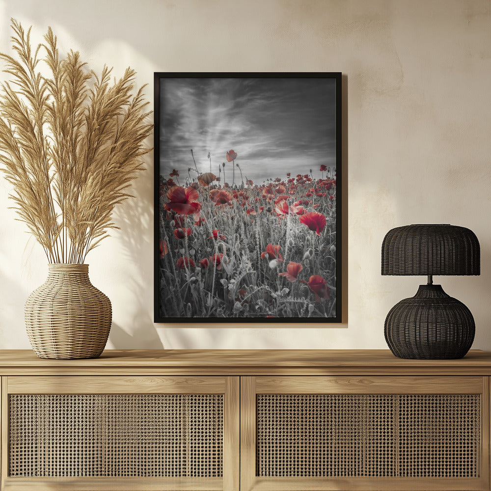 Gorgeous sunset in a poppy field | colorkey Poster