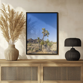 Idyllic Joshua Tree National Park Poster