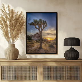 Charming sunset at Joshua Tree National Park Poster