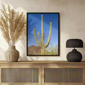 SAGUARO NATIONAL PARK Giant Saguaro Poster