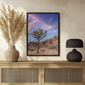 Joshua Tree Evening Atmosphere Poster