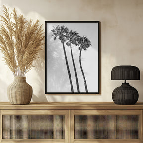 Summer idyll with palm trees Poster