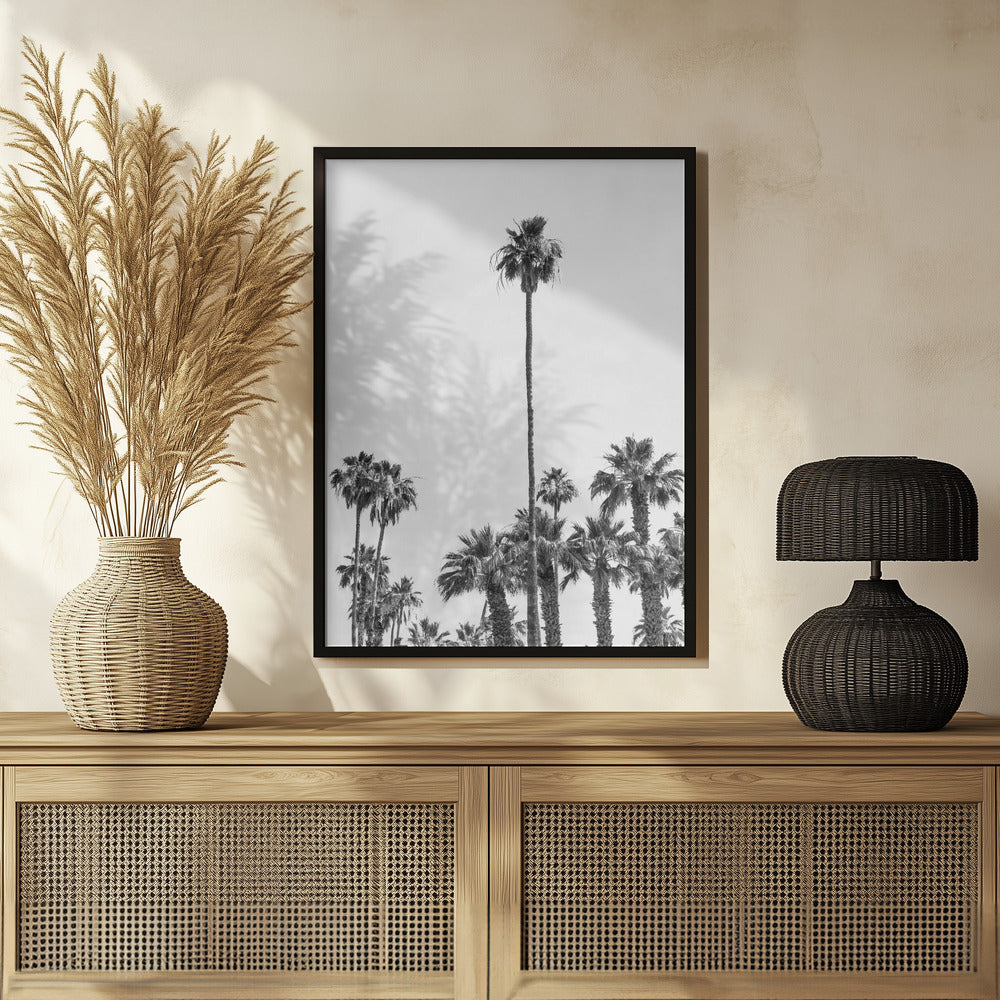 Palm Trees at the beach | monochrome Poster