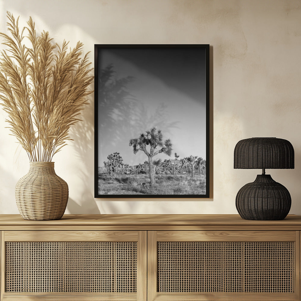 Joshua Trees - monochrome Poster