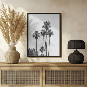 Palm trees | monochrome Poster