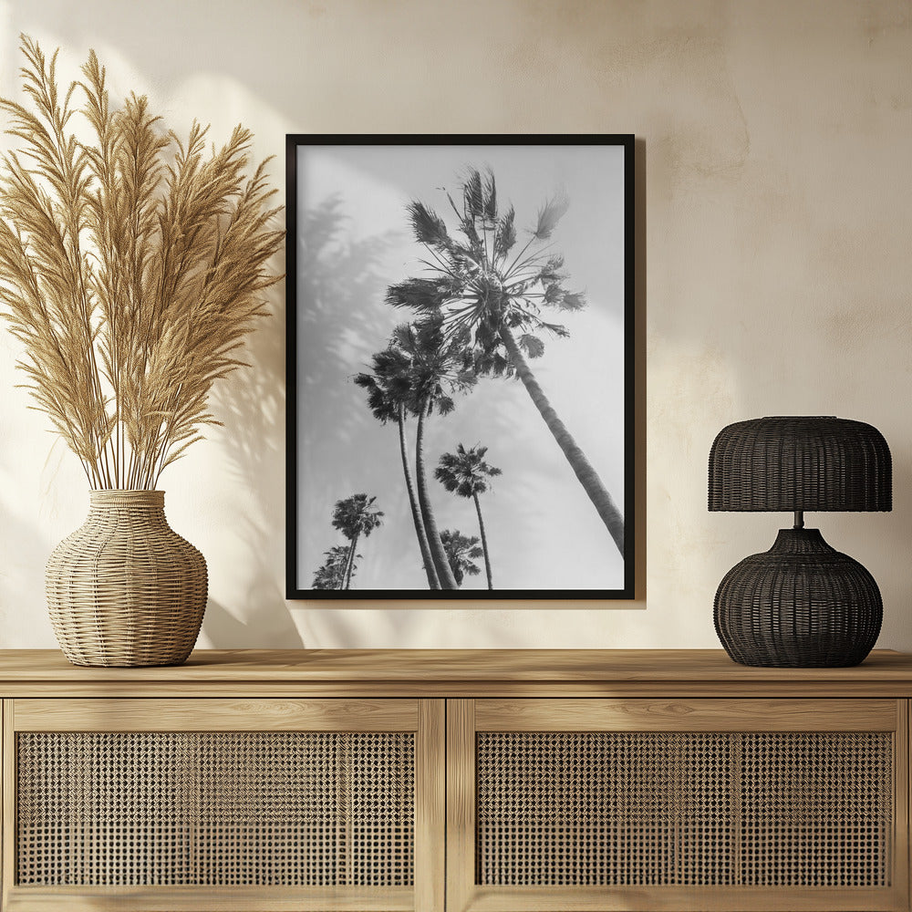 Palm trees in the sun | monochrome Poster