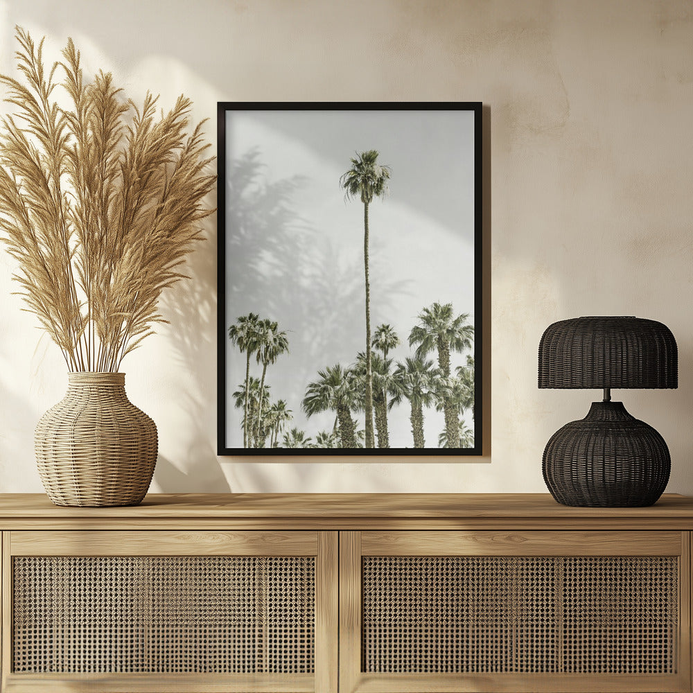 Palm Trees at the beach Poster