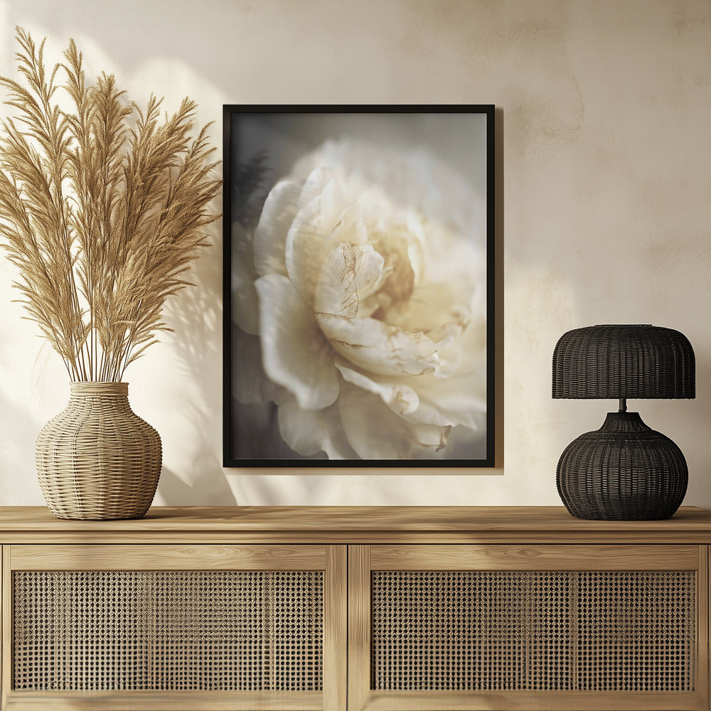 Peonyinsoftlight Poster