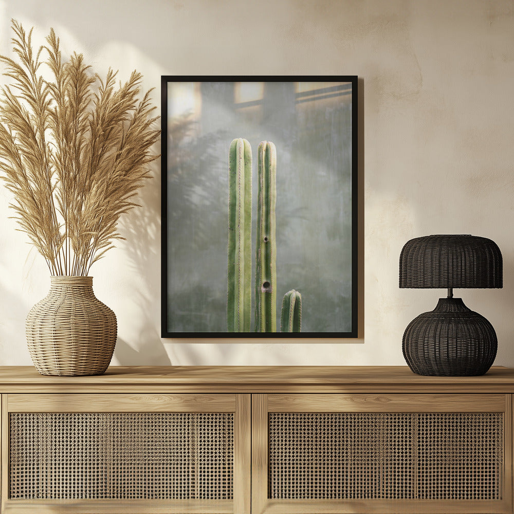 Greens and grey | Cacti in Oaxaca Mexico Poster