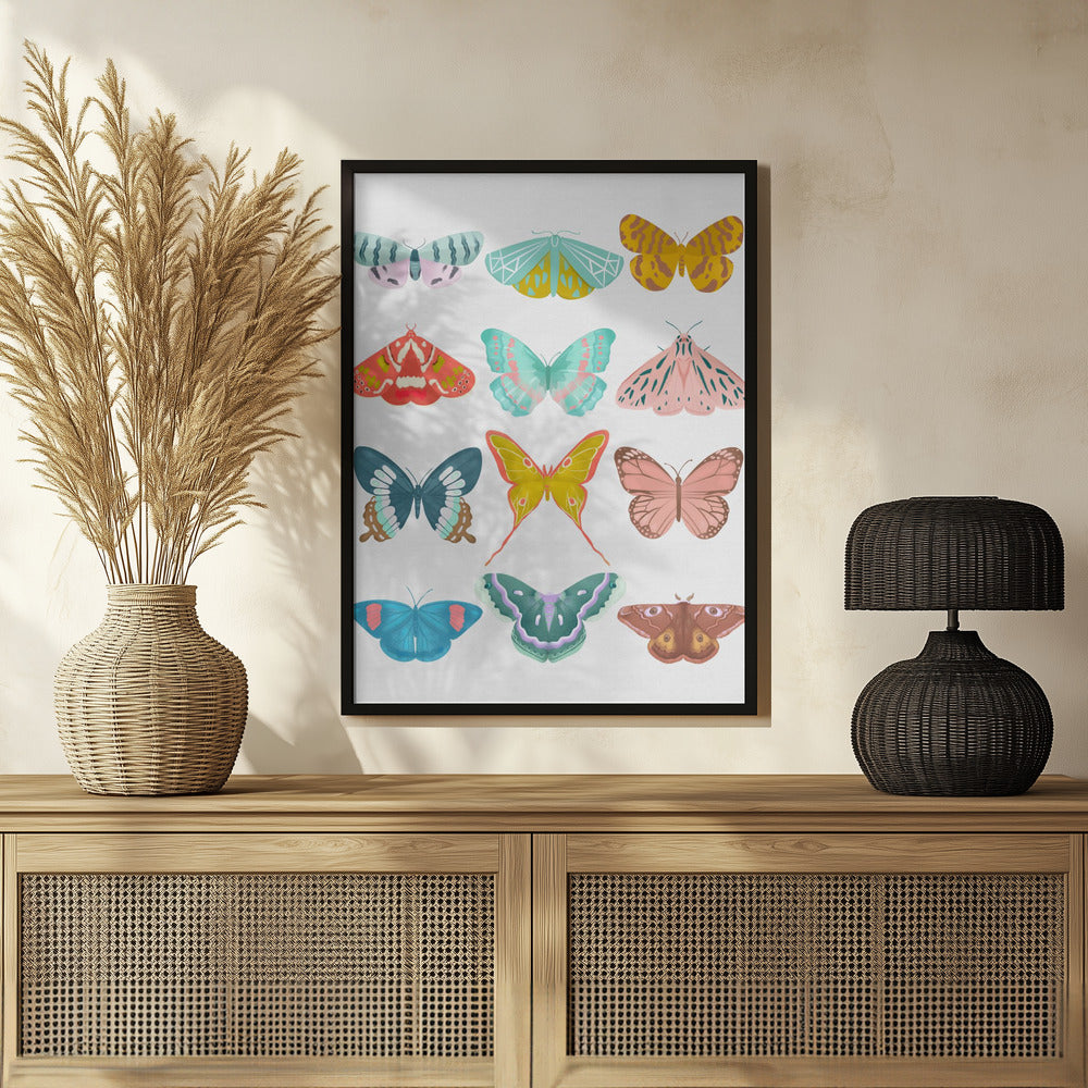 Butterfly Poster