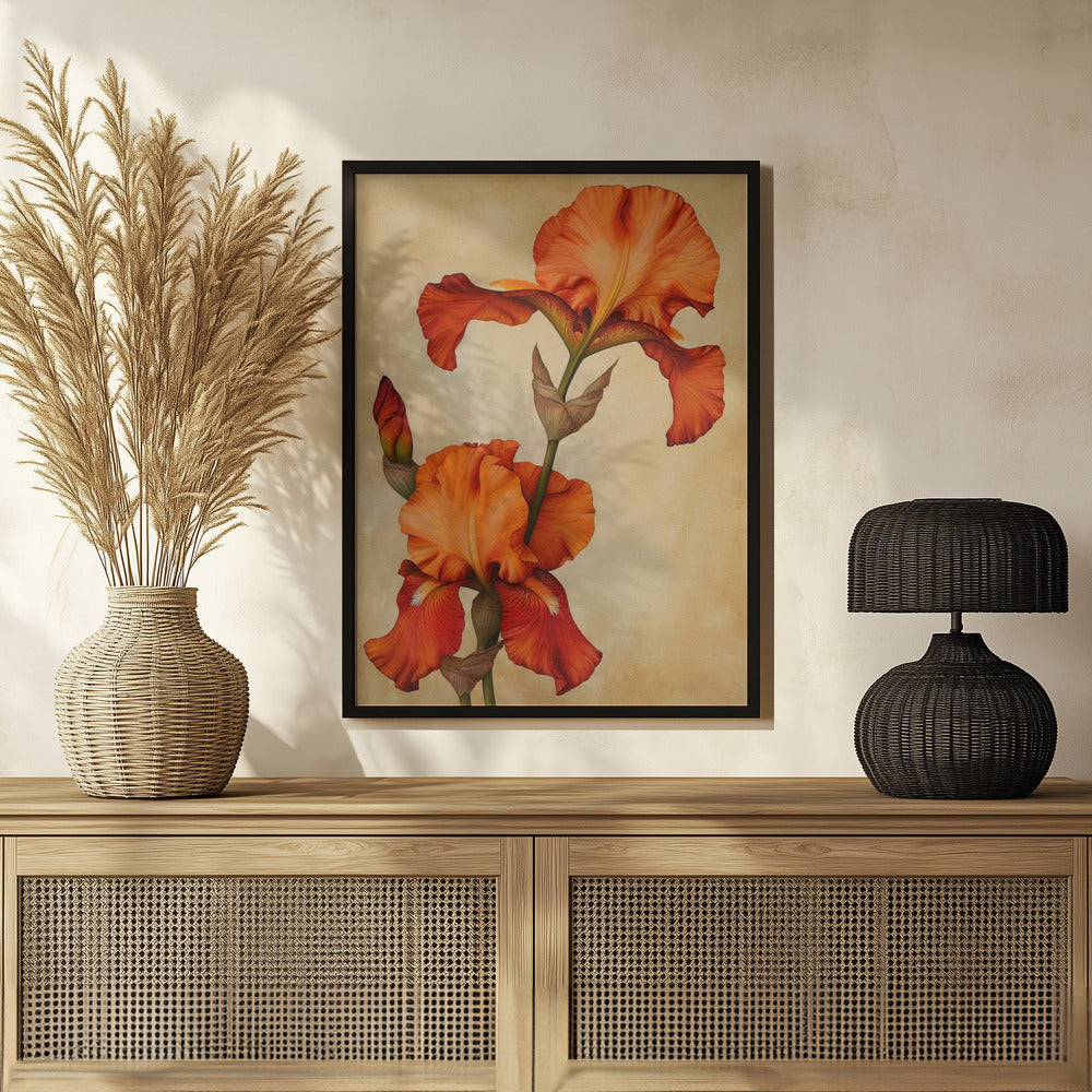 Poster Canvas Sng Iris 36 Poster