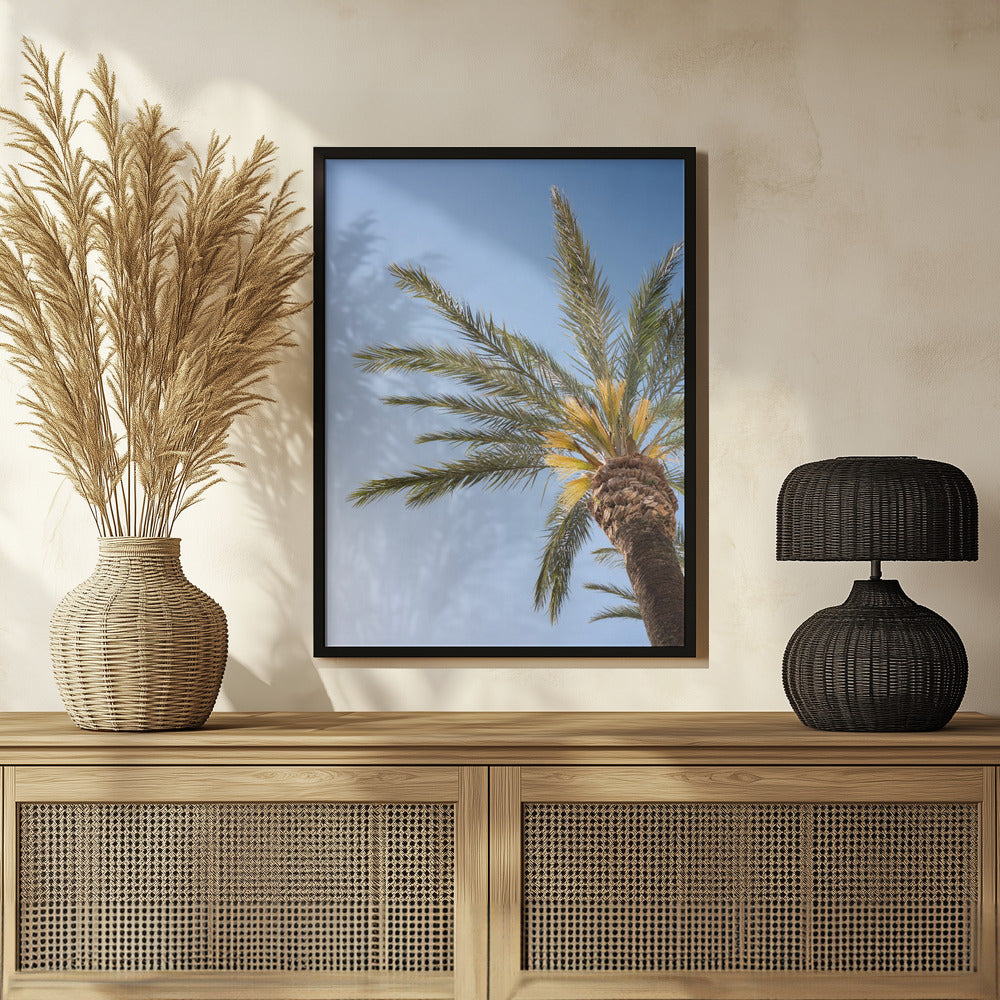 Vejer de La Frontera Palm Tree Poster