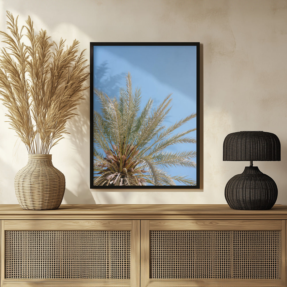 Moroccan Coast Palm Tree Poster