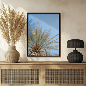 Moroccan Coast Palm Tree Poster