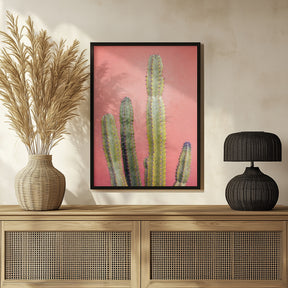 Pretty Pink Cactus Marrakech Poster