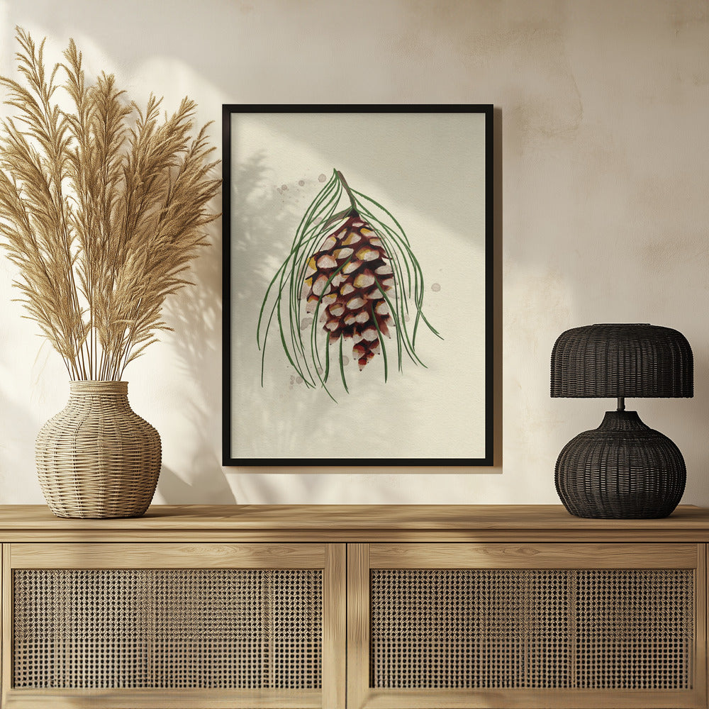 Maine White Pine Cone Copy Poster