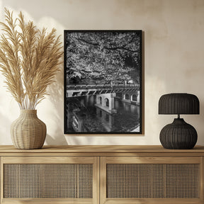 Charming Nakabashi Bridge in the evening - monochrome Poster