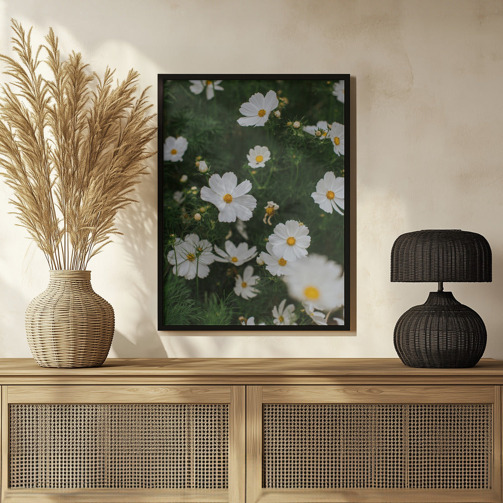 White Flowers Poster