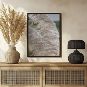 Beach Pampas Poster