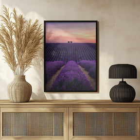 Lavender fild Poster