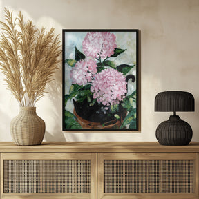 Potted pink hydrangeas Poster