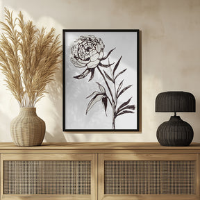 Loose peony ink sketch Poster