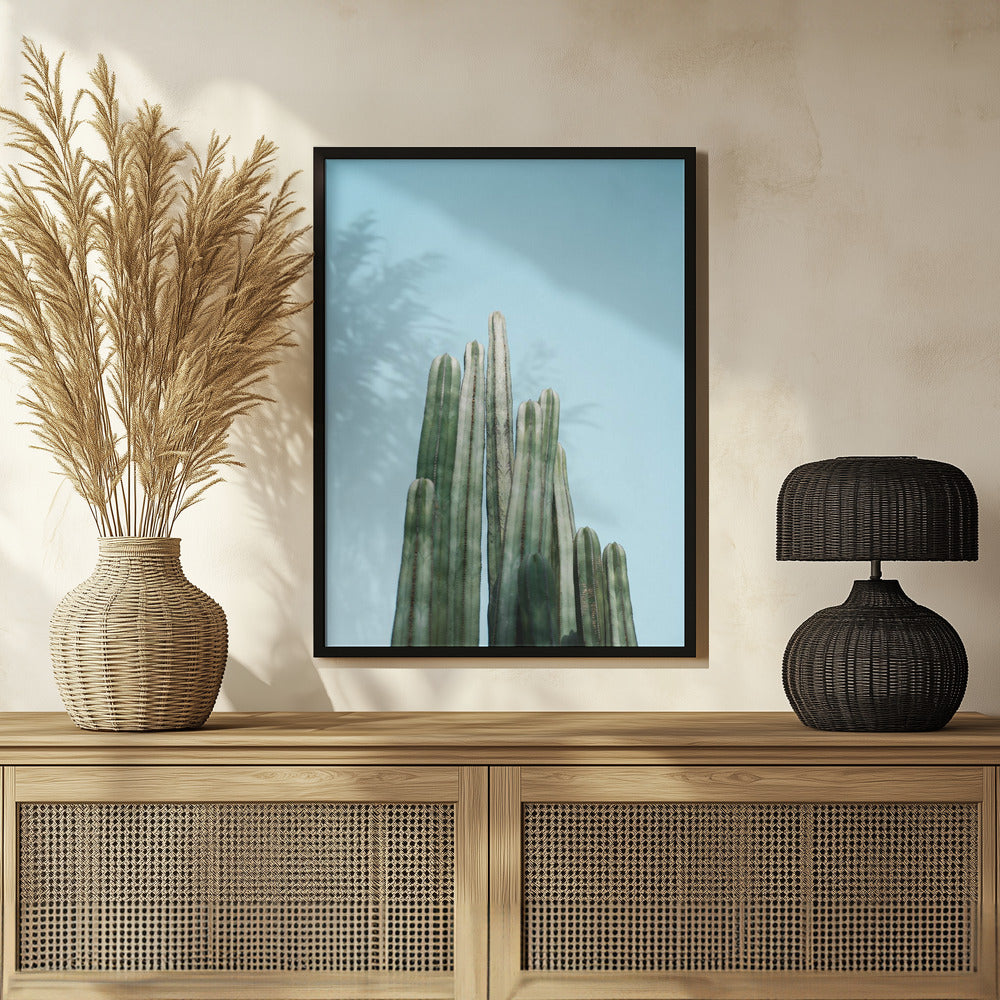 Tall Cacti Poster