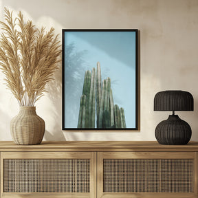 Tall Cacti Poster