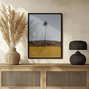 Puerto Rican Palm Tree Poster