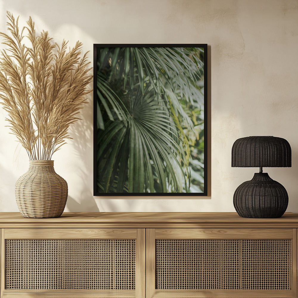 Areca Palm Poster