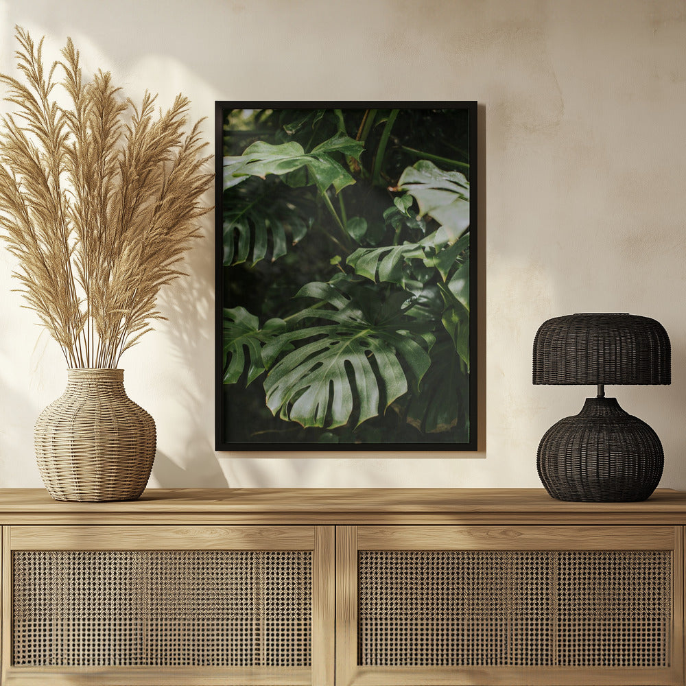 Monstera Leaves Poster