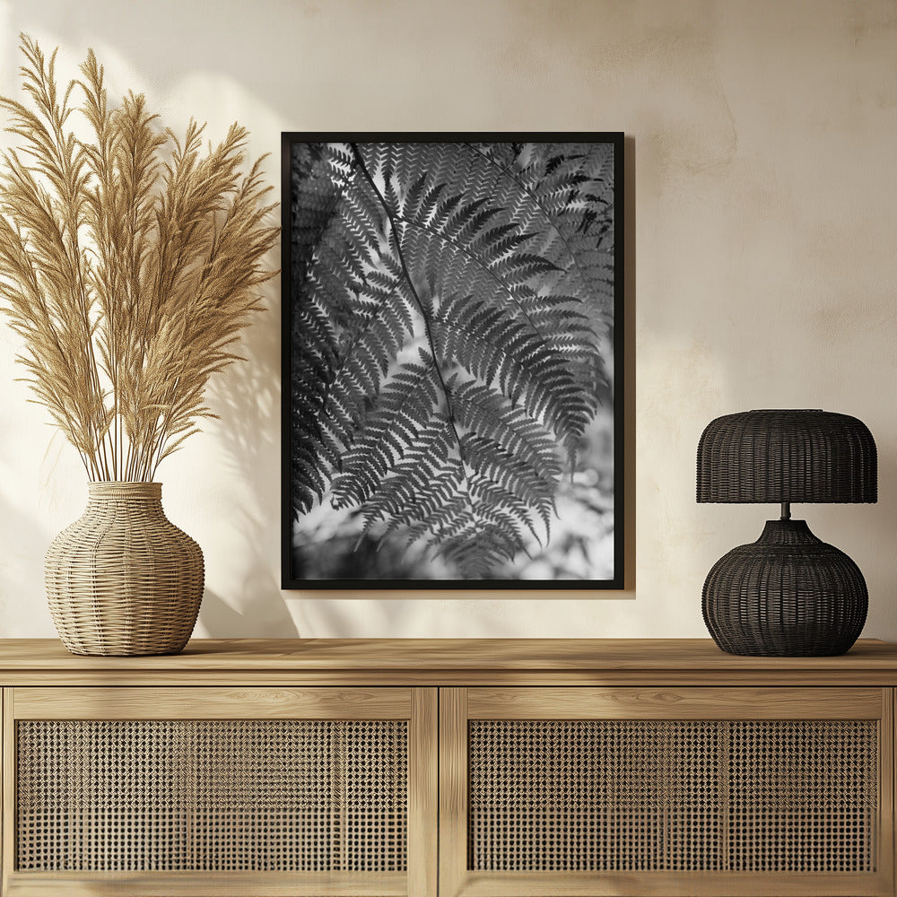 Fern in Black White Poster