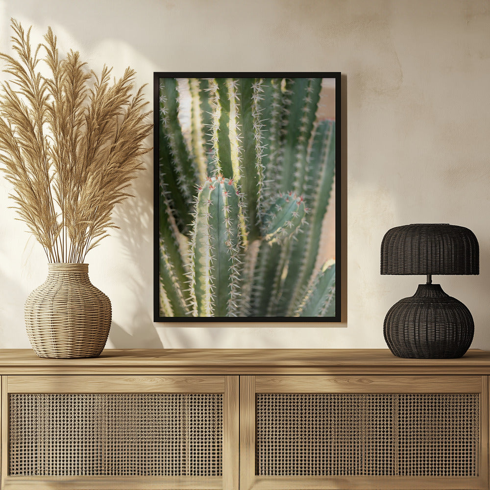 Gold &amp; Green Cacti Marrakech Poster