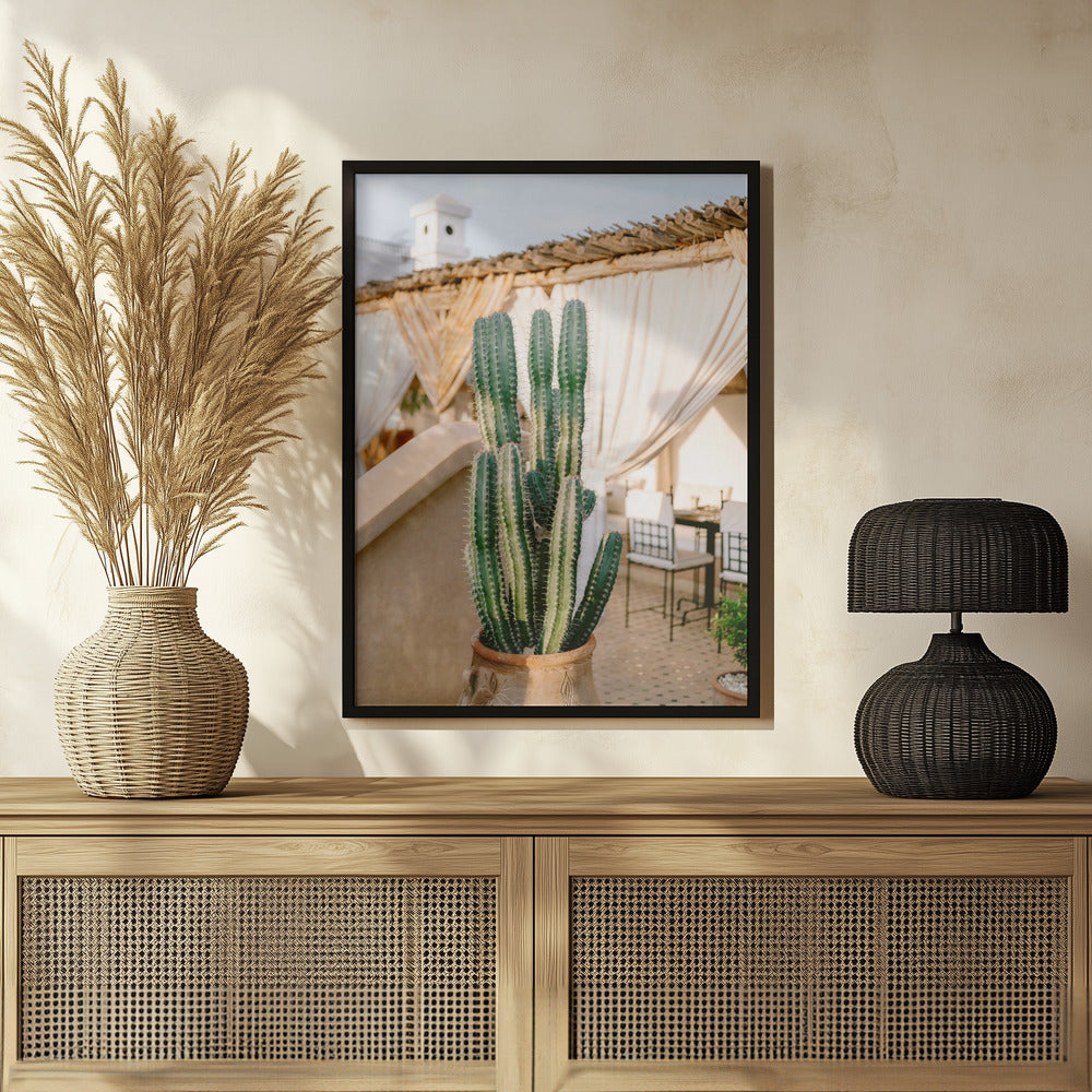 Rooftop Cactus | Morocco Travel Photography Poster