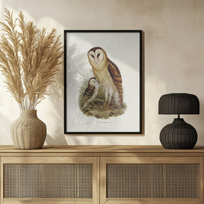 Grass Owl Poster