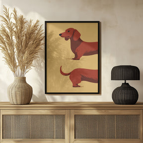 Dachshund Poster