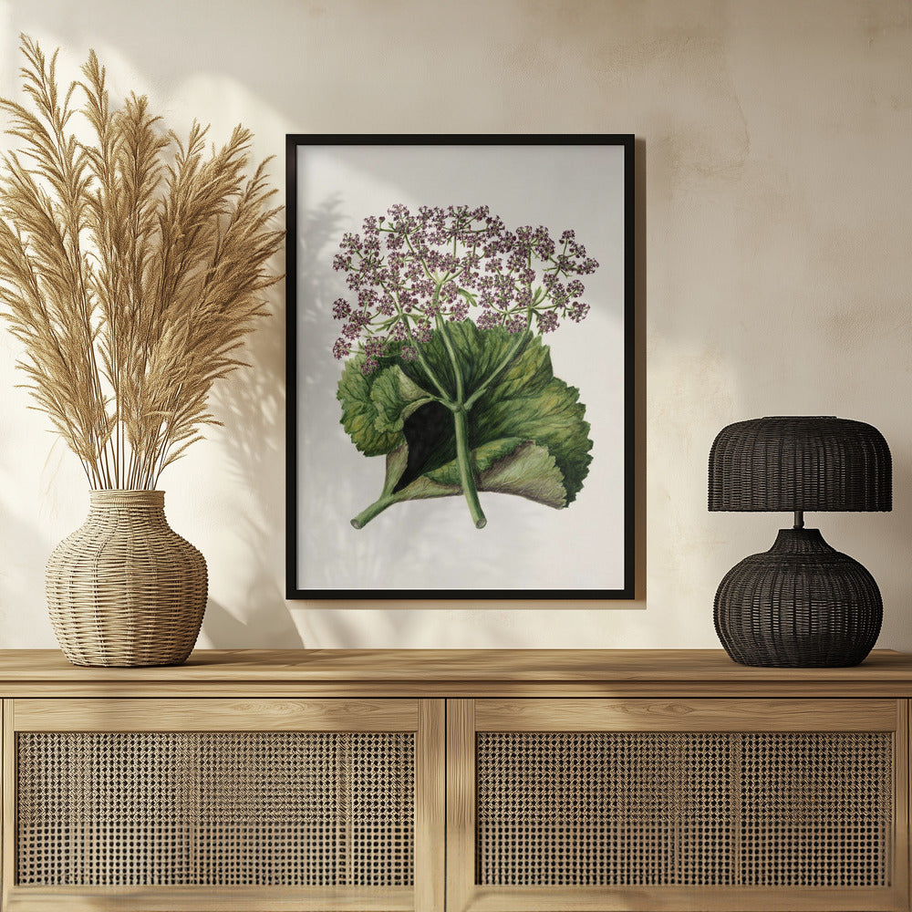 Antique Plant Ii Drawn By Sarah Featon (1848–1927) Poster